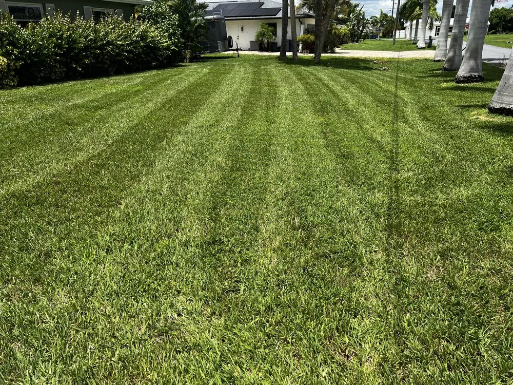 Expert landscape design for residential properties across North Fort Myers, FL - Fert In The Dirt Lawn Care