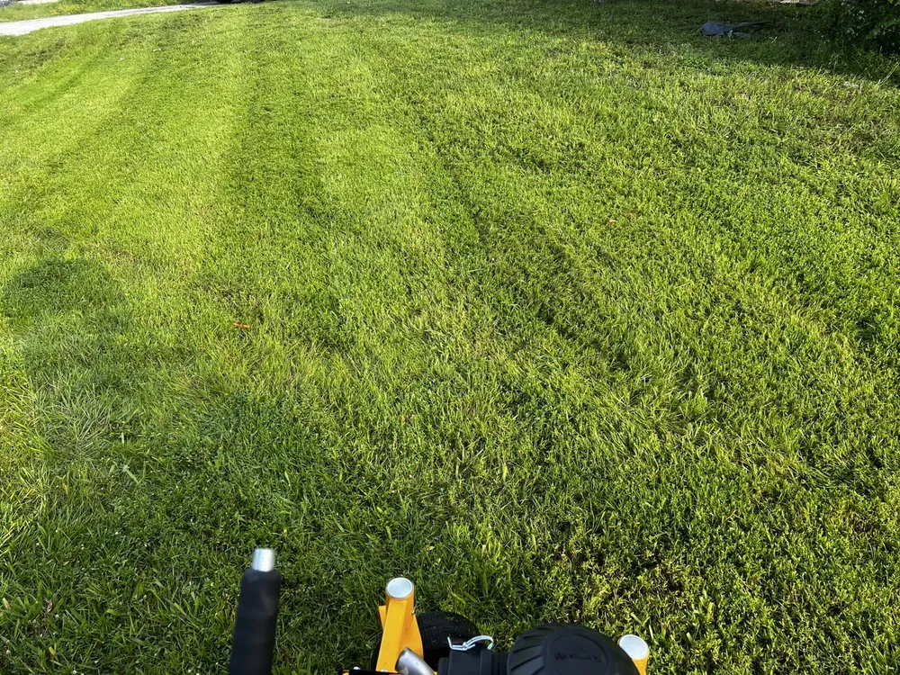 Professional residential landscaping with custom design in North Fort Myers, FL by Fert In The Dirt Lawn Care