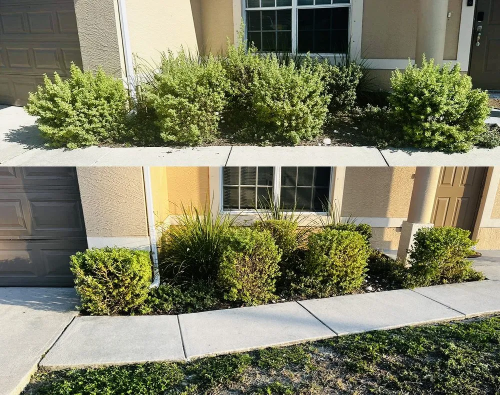 Professional residential landscaping in North Fort Myers, FL by Fert In The Dirt Lawn Care