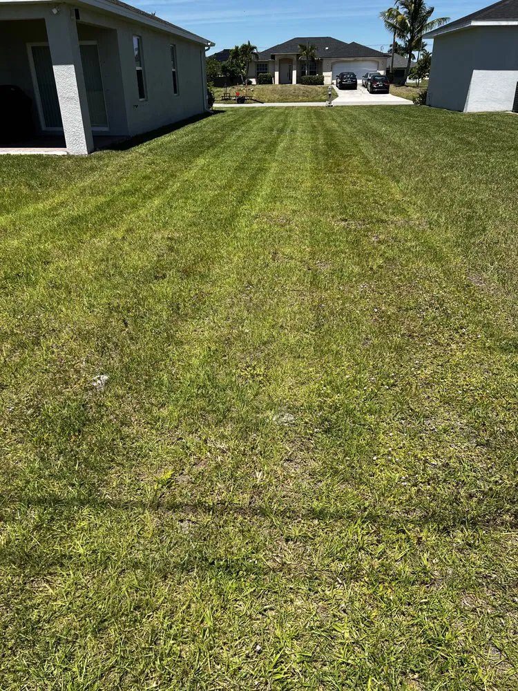 Affordable lawn mowing service in North Fort Myers, FL - Fert In The Dirt Lawn Care