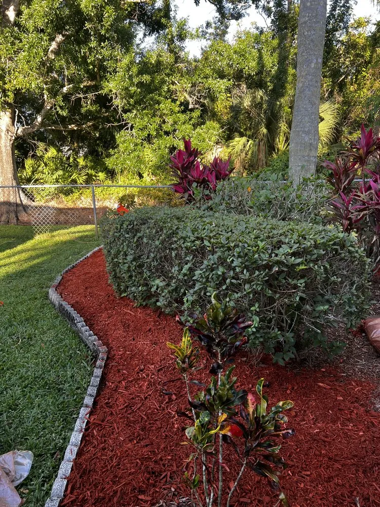 Expert yard cleanup service for beautiful yards in North Fort Myers, FL by Fert In The Dirt Lawn Care