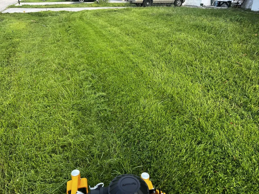 Expert garden landscaping experts serving North Fort Myers, FL - Fert In The Dirt Lawn Care