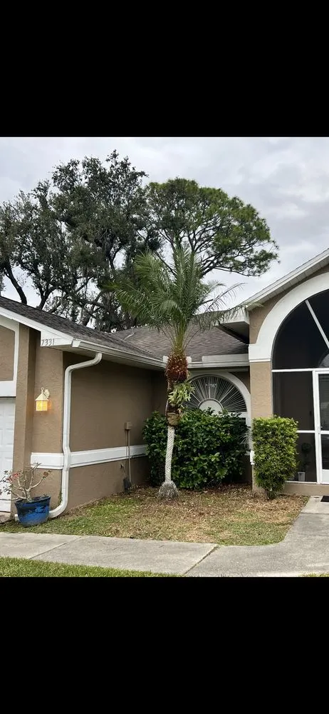 Expert lawn care service near you in North Fort Myers, FL by Fert In The Dirt Lawn Care