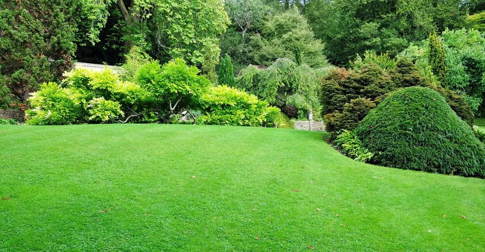 Trusted yard cleanup service experts serving East Grand Forks, MN - Fert-L-Lawn Lawn & Tree Services