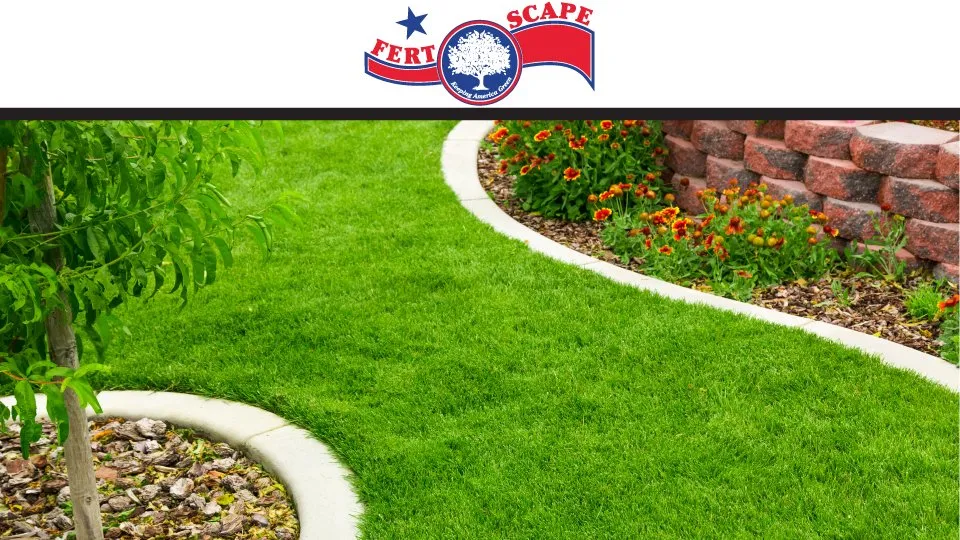 Local lawn care service for homes across Sterling Heights, MI - Fert-Scape