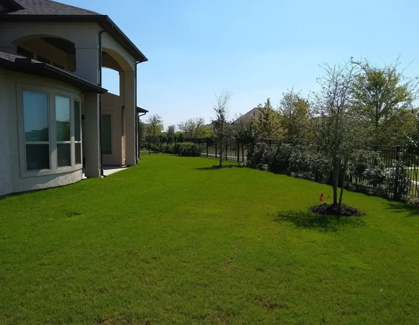 Affordable yard cleanup service with custom design in Brookshire, TX by Fertig Fertilizing