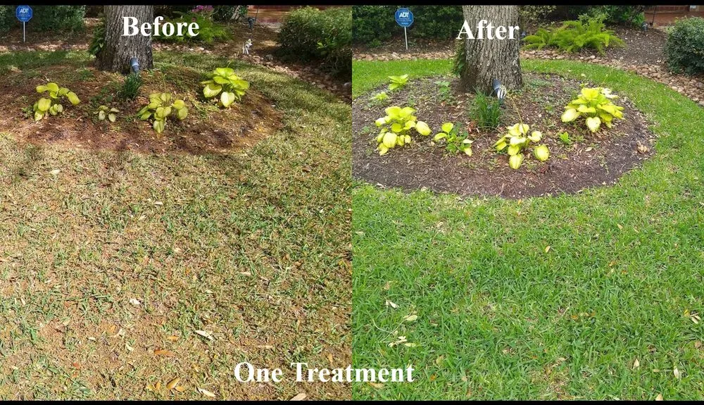 Trusted outdoor landscaping in Brookshire, TX - Fertig Fertilizing