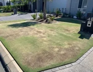 Custom yard maintenance in Lady Lake, FL by Fertigator Lawn Care