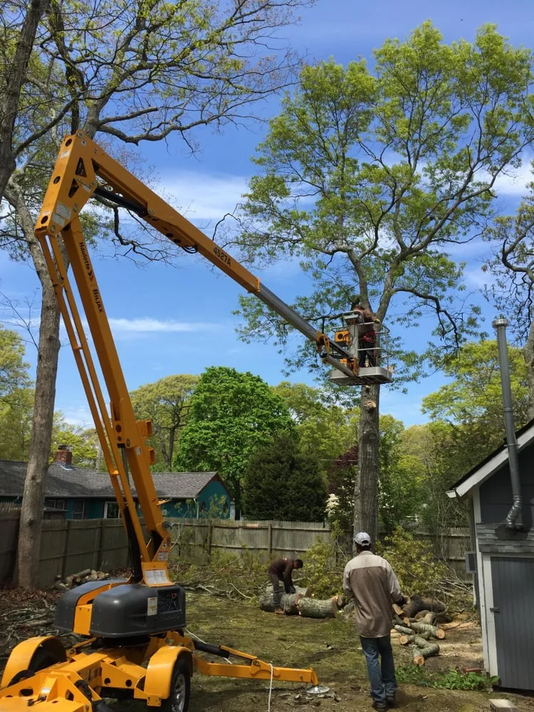 Affordable residential landscaping in Hampton Bays, NY - FertiLawn