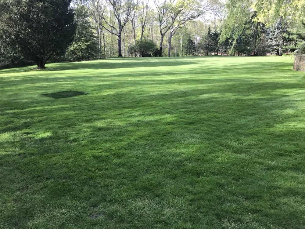 Top-rated yard maintenance in Hampton Bays, NY by FertiLawn