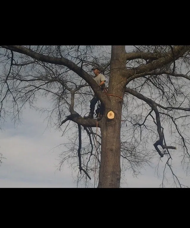 Expert outdoor landscaping near you in Perry, GA by Fertile Green Solutions