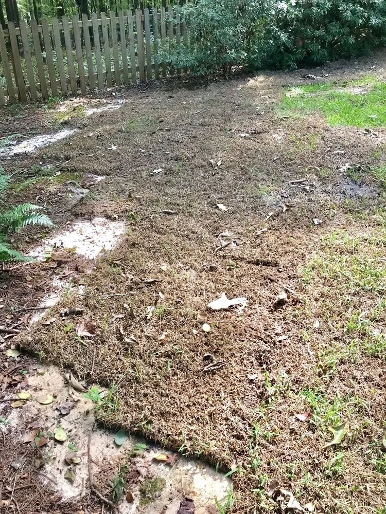 Custom yard maintenance in Perry, GA - Fertile Green Solutions