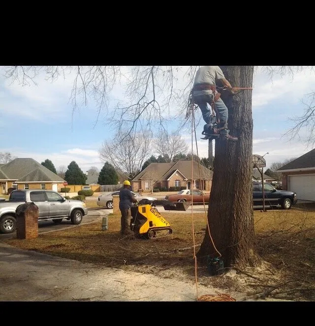 Expert outdoor landscaping in Perry, GA - Fertile Green Solutions