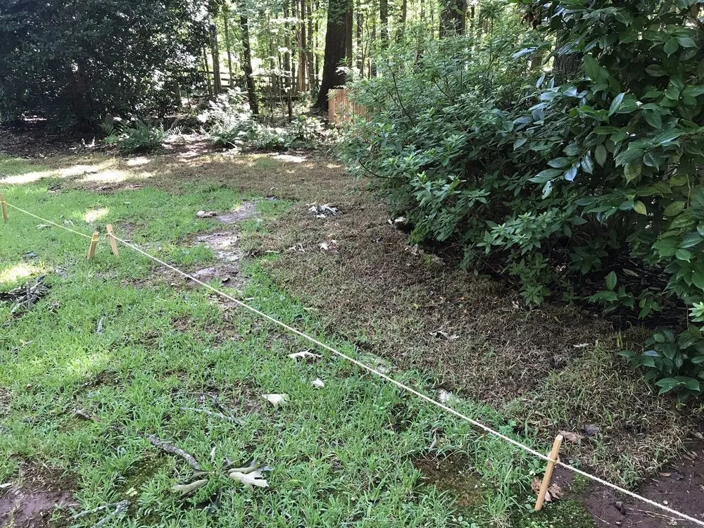 Custom landscape installation in Perry, GA - Fertile Green Solutions