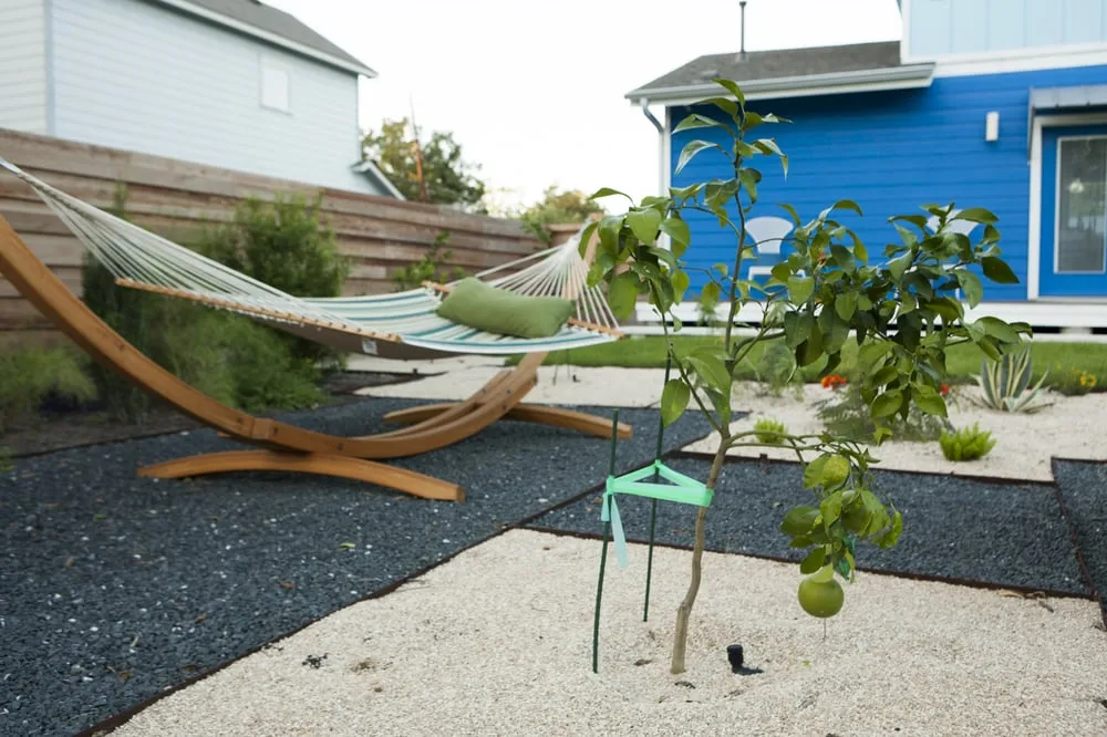 Local landscape installation in Austin, TX by Fertile Ground Gardens