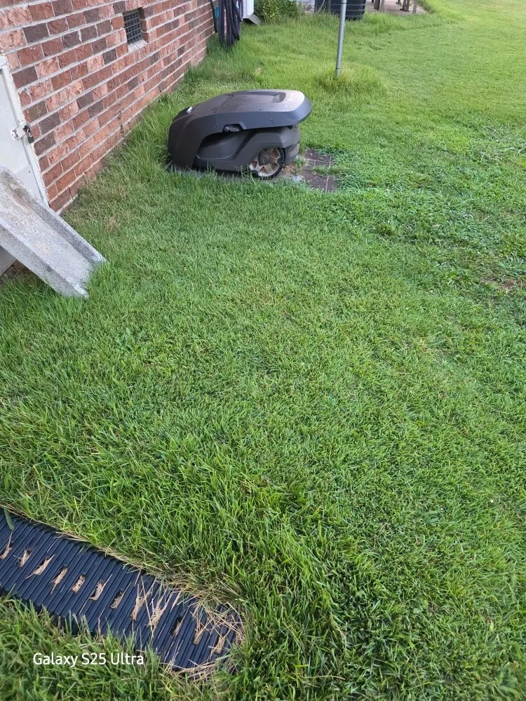 Custom yard cleanup service near you in Easley, SC by Fescue 911