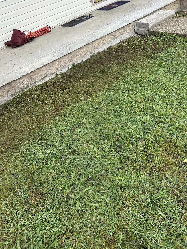 Affordable landscaping services in Irvine, KY - Fescue Cuts & Mulching