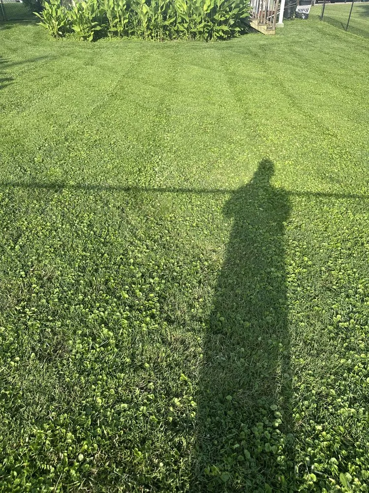 Affordable lawn mowing service experts serving Irvine, KY - Fescue Cuts & Mulching