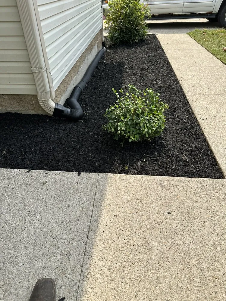 Reliable lawn care service experts serving Irvine, KY - Fescue Cuts & Mulching