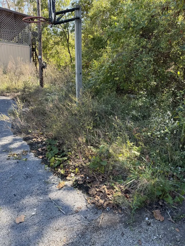 Local landscape installation in Irvine, KY by Fescue Cuts & Mulching