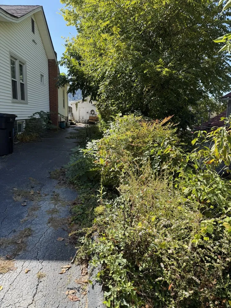 Expert yard maintenance for residential properties in Irvine, KY by Fescue Cuts & Mulching