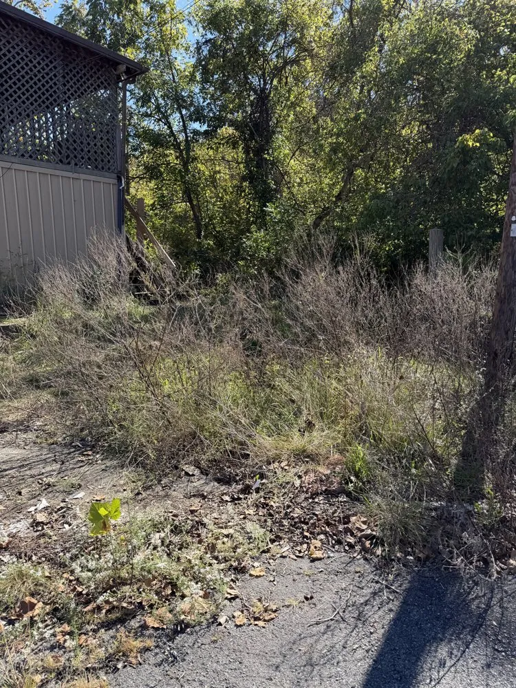 Expert lawn mowing service for outdoor upgrades across Irvine, KY - Fescue Cuts & Mulching