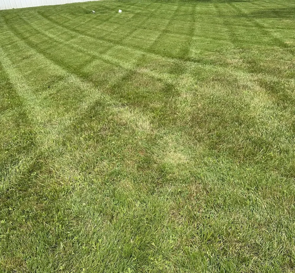 Affordable landscaping services for year-round maintenance across Irvine, KY - Fescue Cuts & Mulching