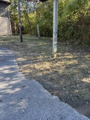 Fescue Cuts & Mulching