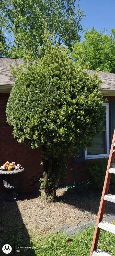 Expert outdoor landscaping experts serving Montgomery, AL - Fess Lawn Care Service