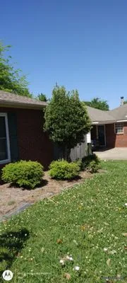 Fess Lawn Care Service Logo