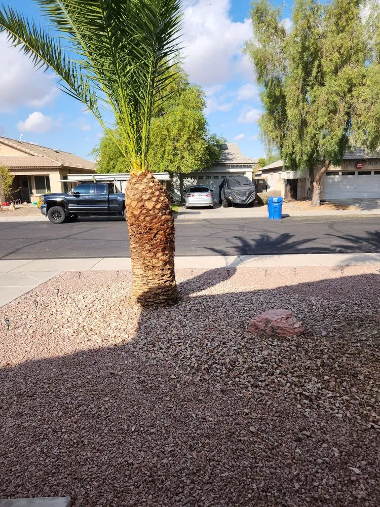 Trusted lawn mowing service for residential properties in Surprise, AZ by Festival Landscaping