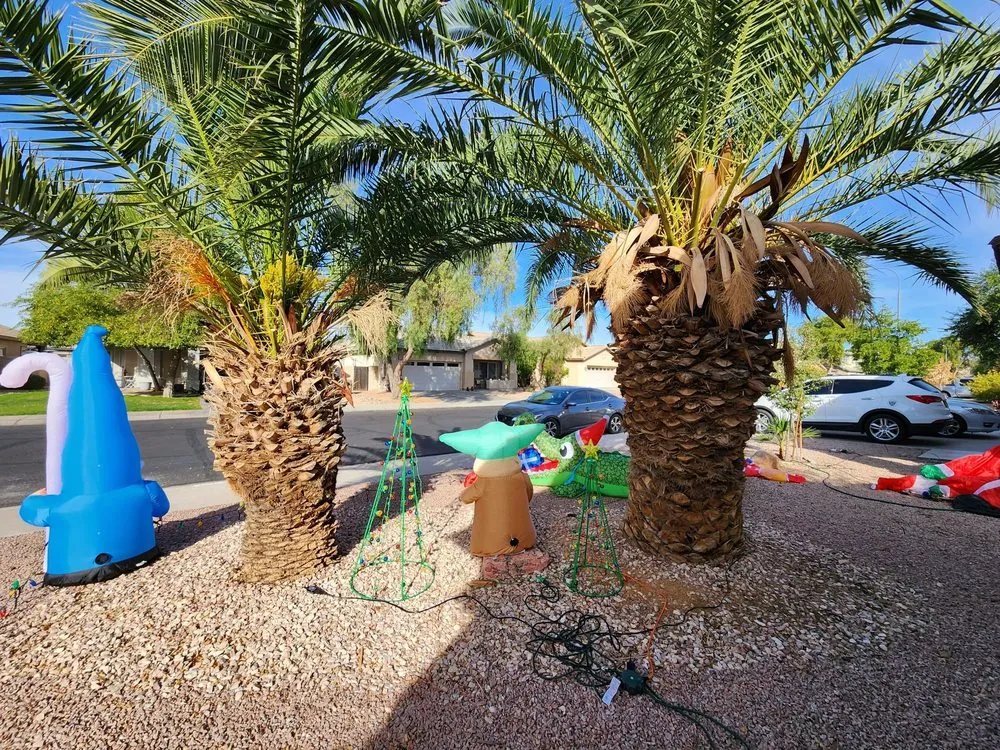 Affordable outdoor landscaping in Surprise, AZ by Festival Landscaping