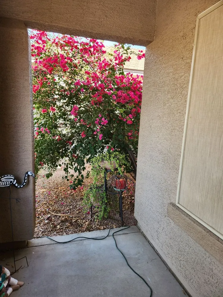 Affordable landscape installation near you across Surprise, AZ - Festival Landscaping