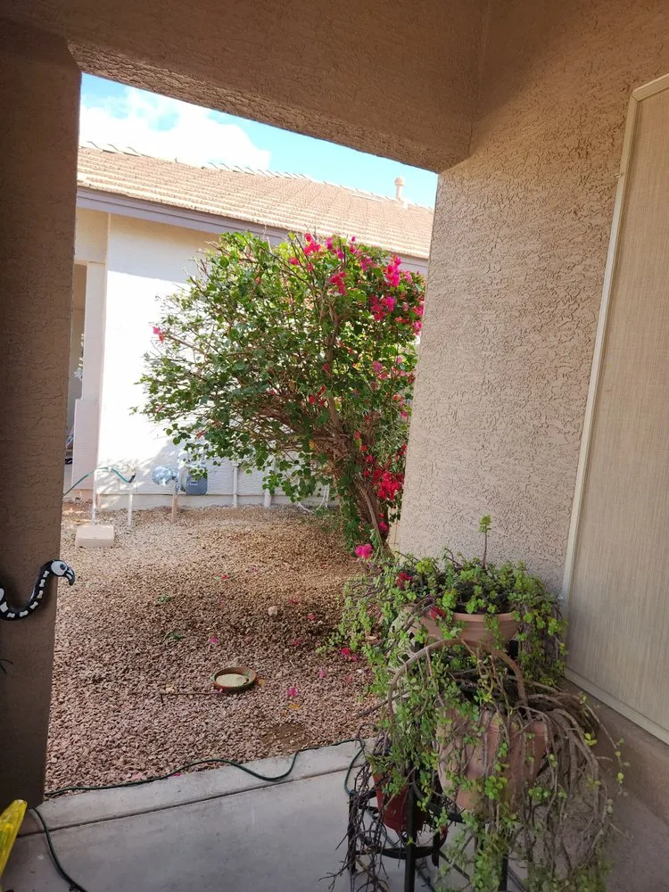 Reliable garden landscaping in Surprise, AZ by Festival Landscaping