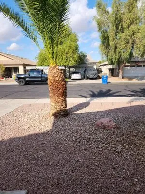 Festival Landscaping Logo