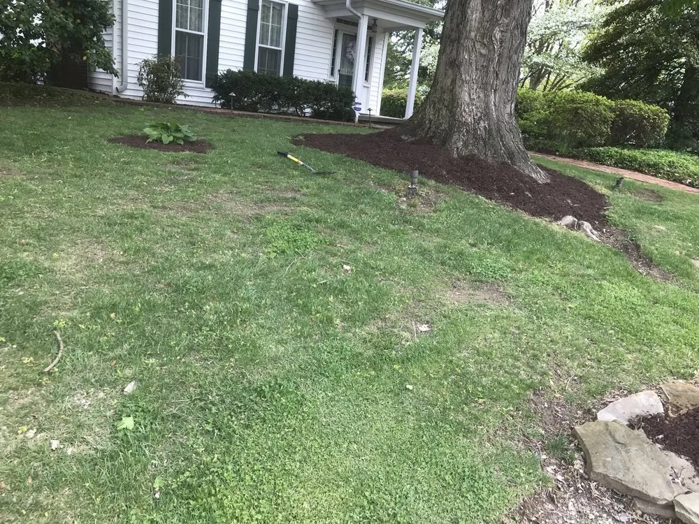 Trusted yard maintenance in Evansville, IN - Fetscher Lawncare