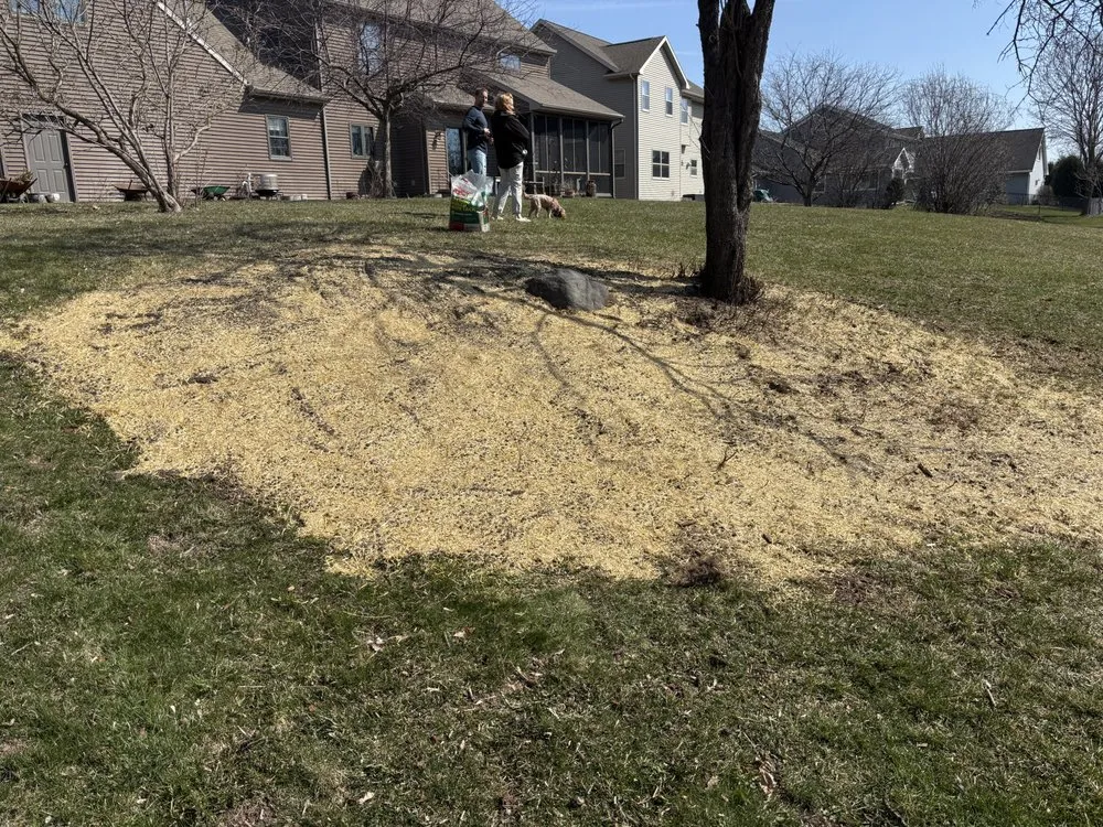 Trusted lawn mowing service in Oshkosh, WI by Feutz Lawn And Snow