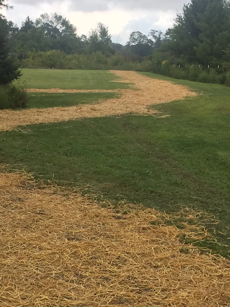 Reliable landscape design in Painesville, OH by F.F Landscaping