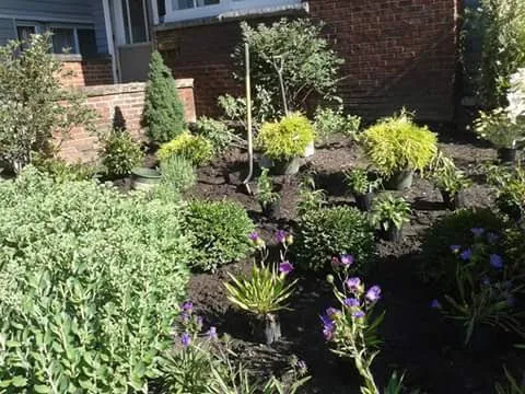 Professional landscape design for outdoor upgrades in Painesville, OH by F.F Landscaping