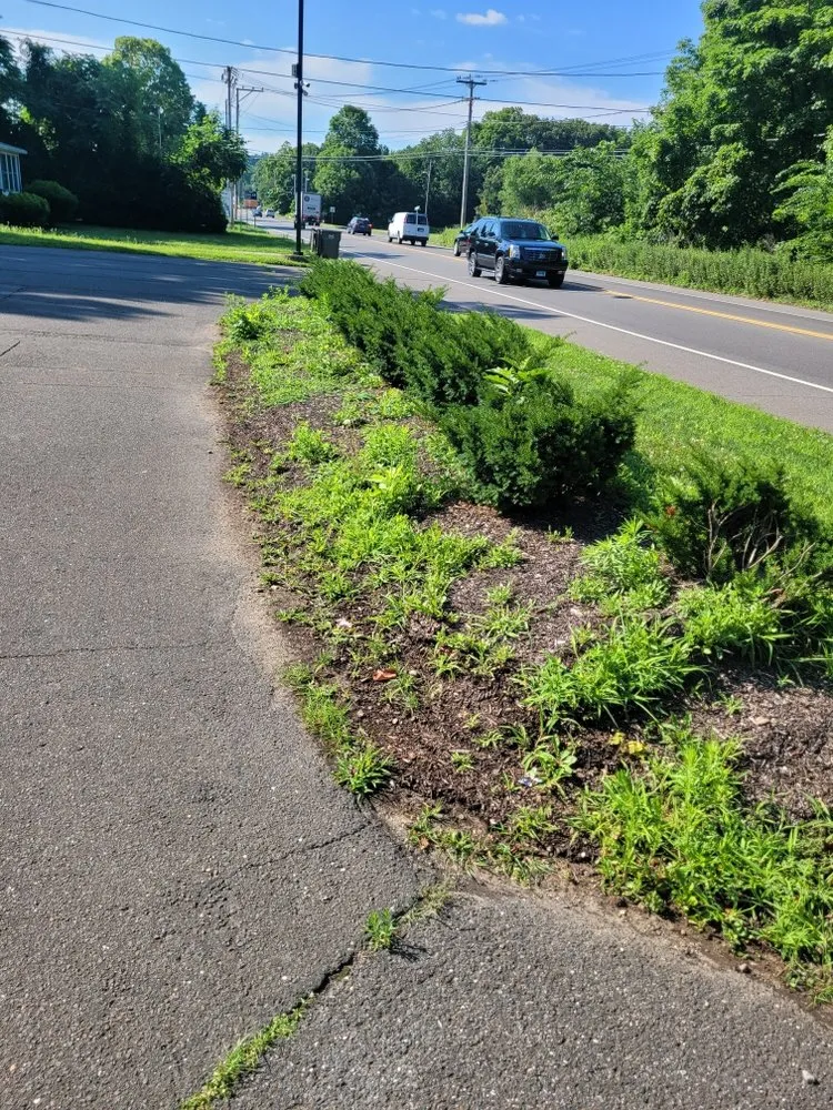 Reliable lawn care service experts serving Bridgeport, CT - F&F Lawn Care