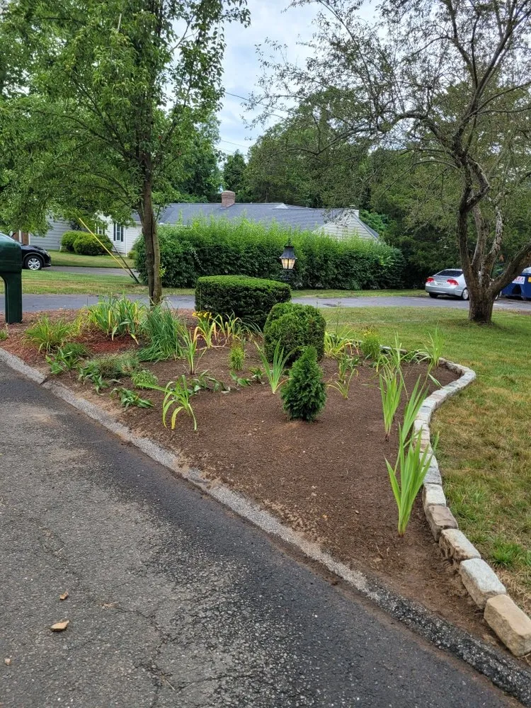 Reliable yard cleanup service experts serving Bridgeport, CT - F&F Lawn Care