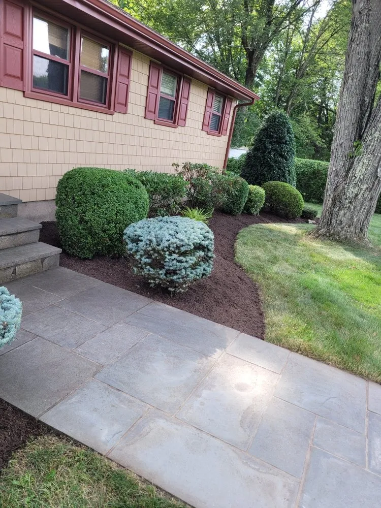 Top-rated yard maintenance for homes in Bridgeport, CT by F&F Lawn Care