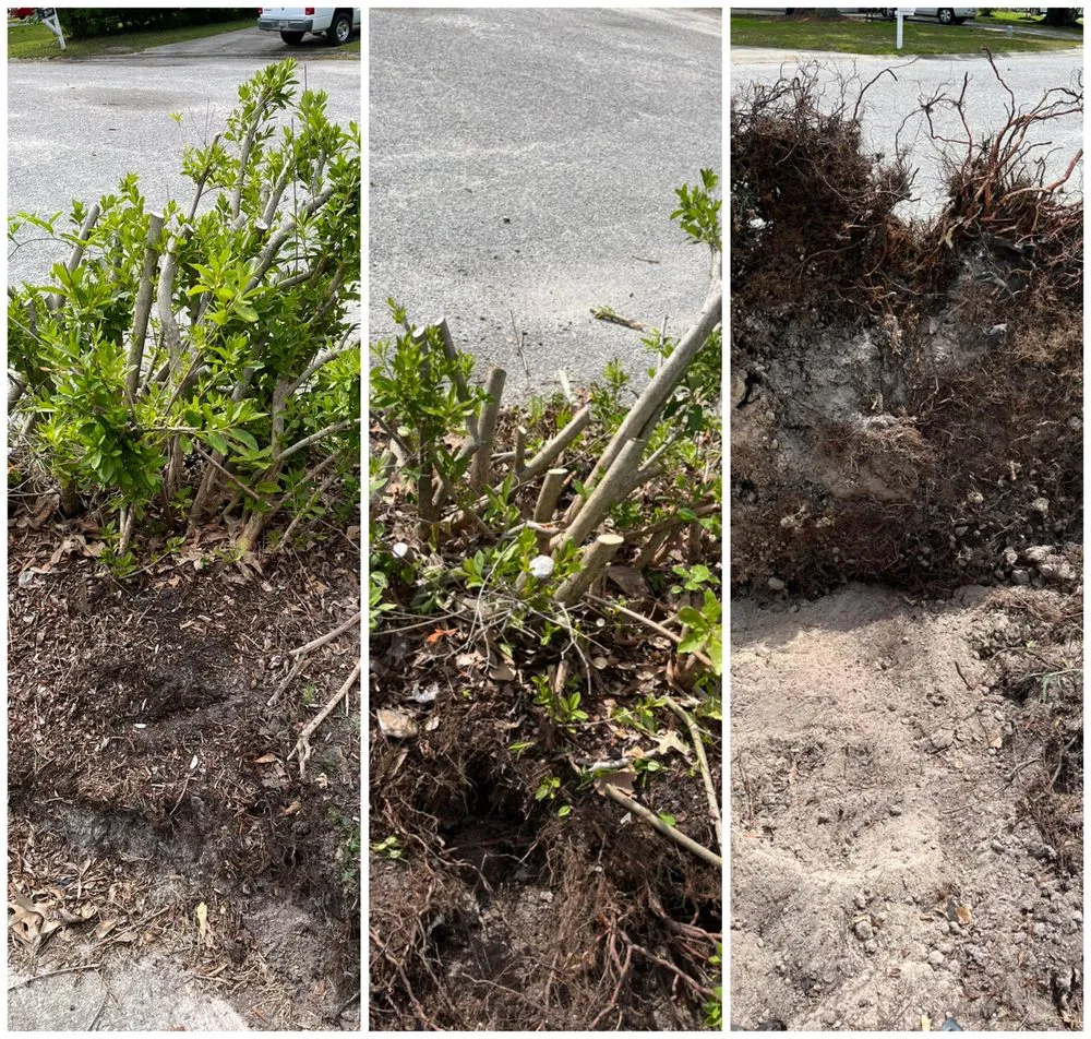 Professional lawn mowing service in Summerville, SC by FFC Solution