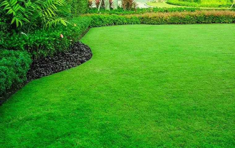 Reliable landscaping services for residential properties in Summerville, SC by FFC Solution