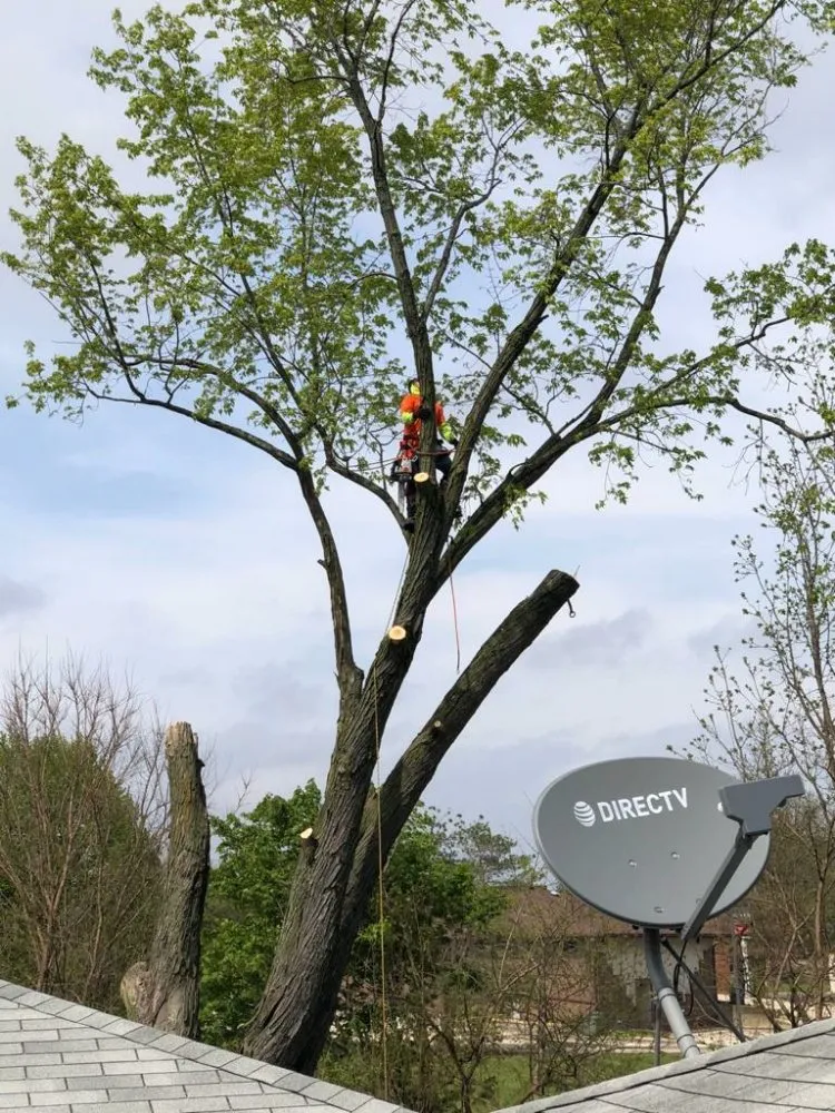 Top-rated garden landscaping in Rockford, IL - F&G Family Landscaping