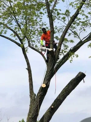 F&G Family Landscaping Logo