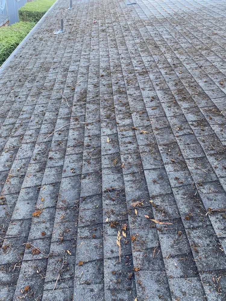 Affordable residential landscaping for beautiful yards in Belfair, WA by FG Landscape