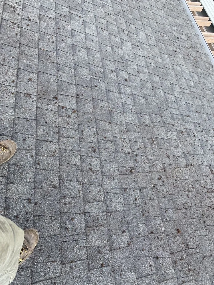 Affordable lawn care service experts serving Belfair, WA - FG Landscape