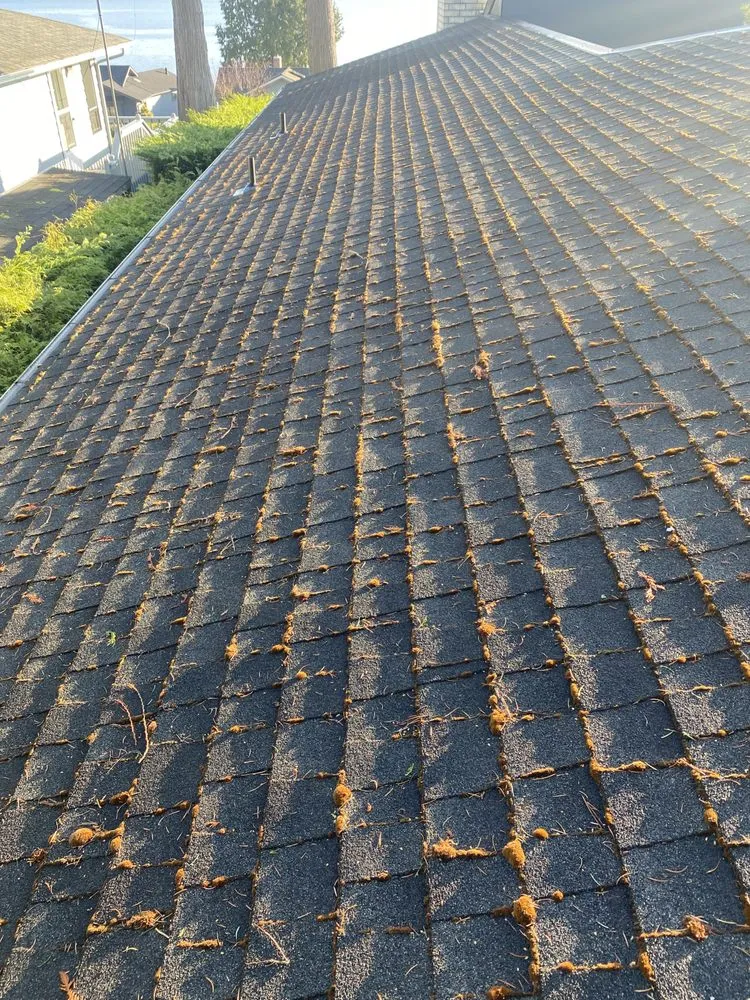 Custom residential landscaping for outdoor upgrades across Belfair, WA - FG Landscape