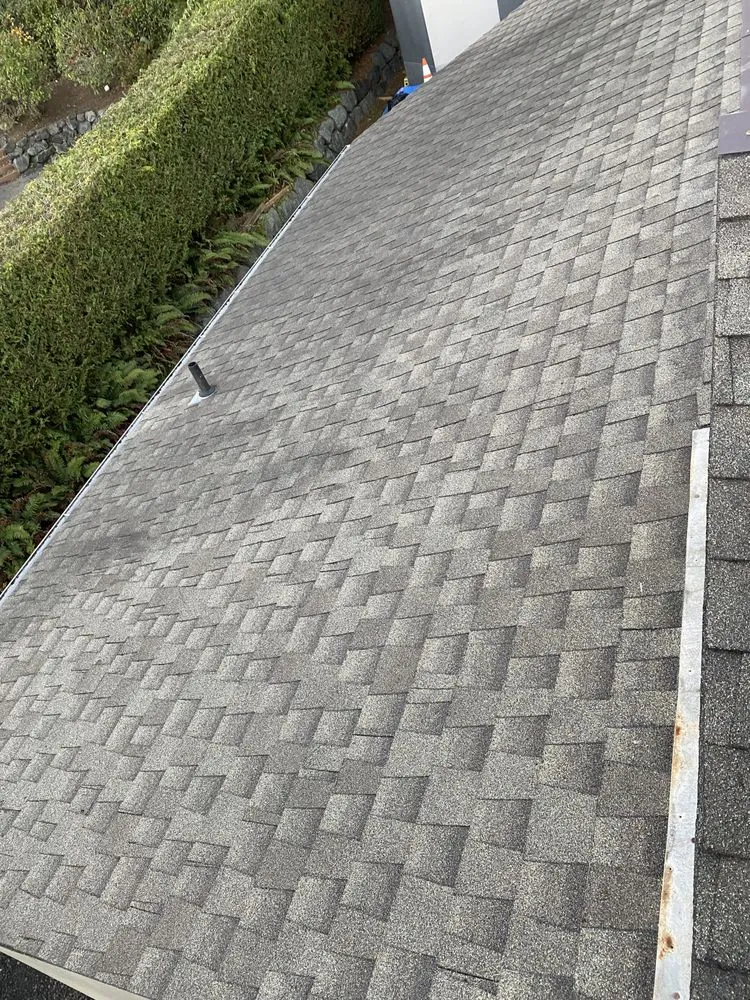 Local residential landscaping experts serving Belfair, WA - FG Landscape